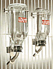 Small Lixit - Heavy Duty Glass Water Bottles 