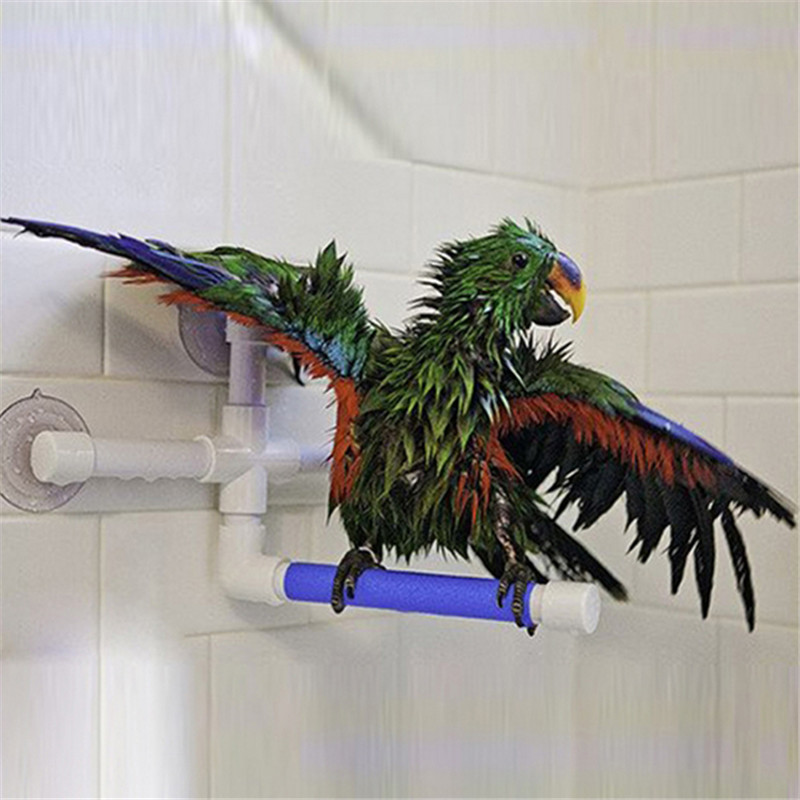 Shower Perches