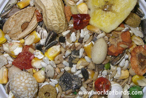 World of Birds- Gourmet Parrot Mix