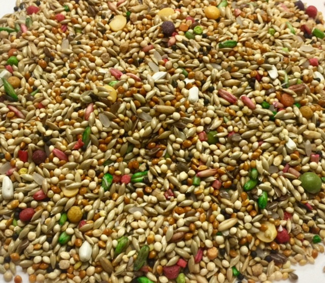 World of Birds- Gourmet Parakeet Mix