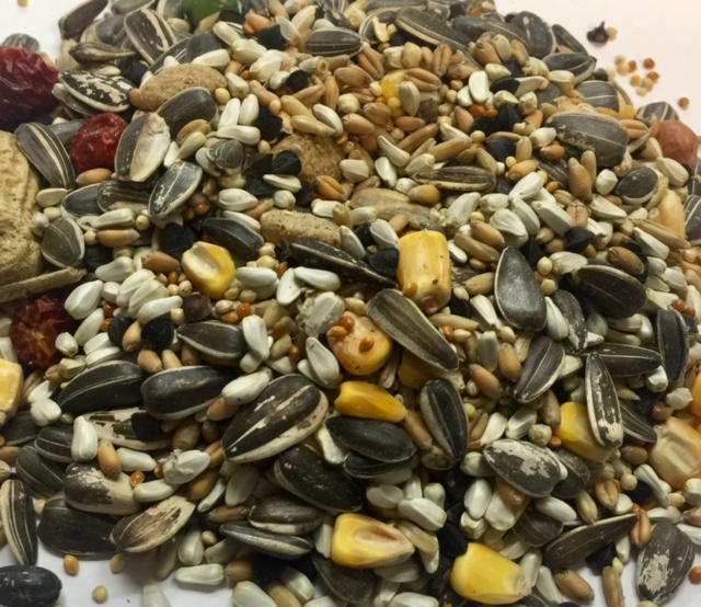 macaw seeds