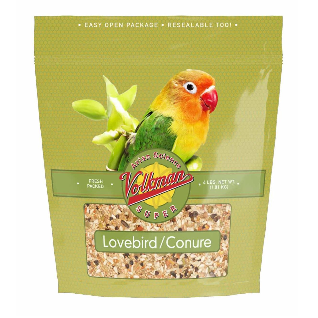 Volkman-  Lovebird/Conure blend